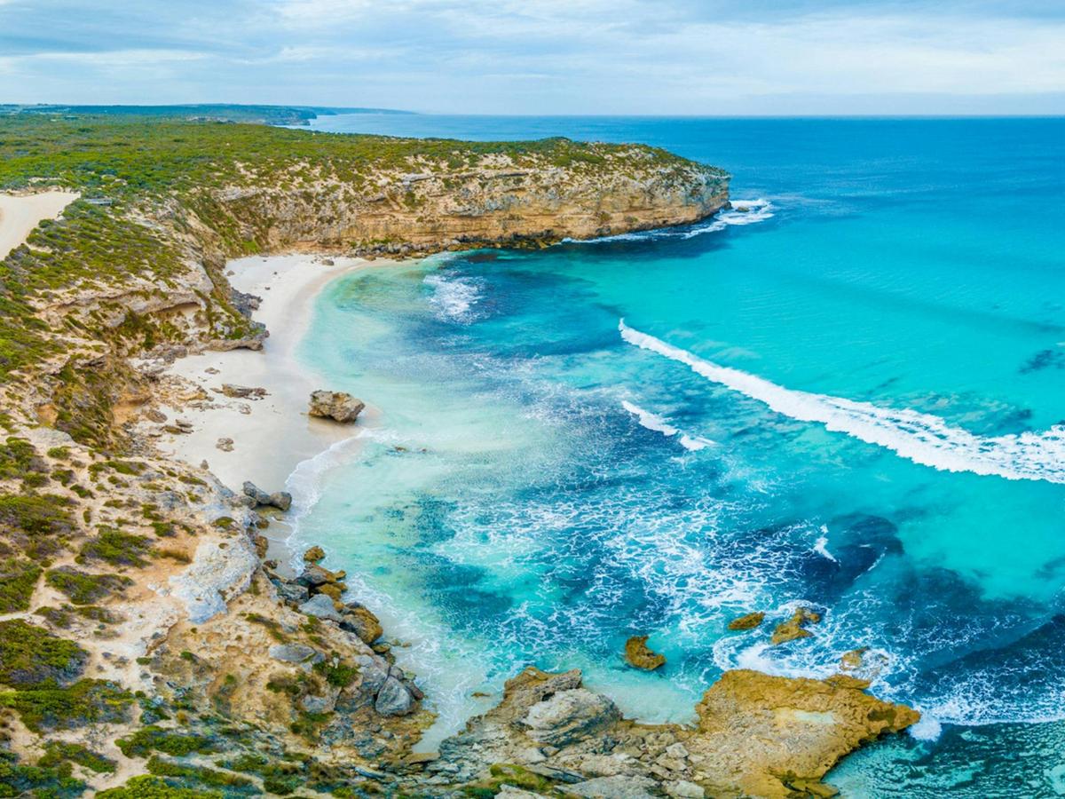 Kangaroo Island Half-Day Tour