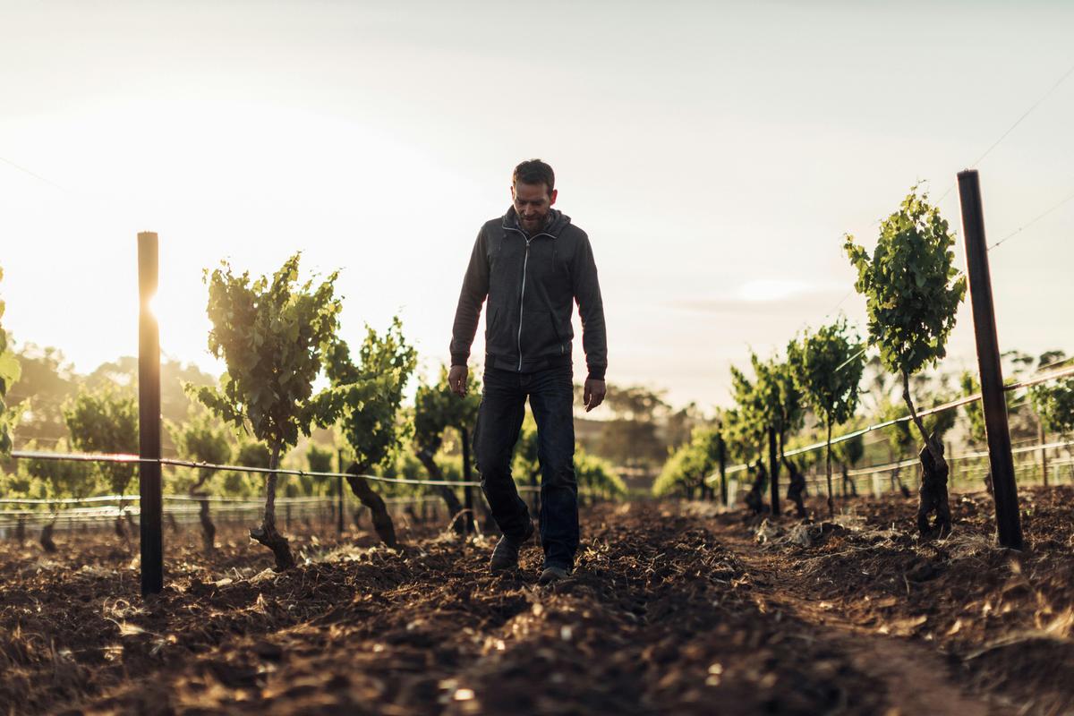 Kalleske Wines - Kym Kalleske