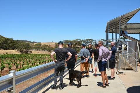 Kalleske Winery and Vineyard Tour