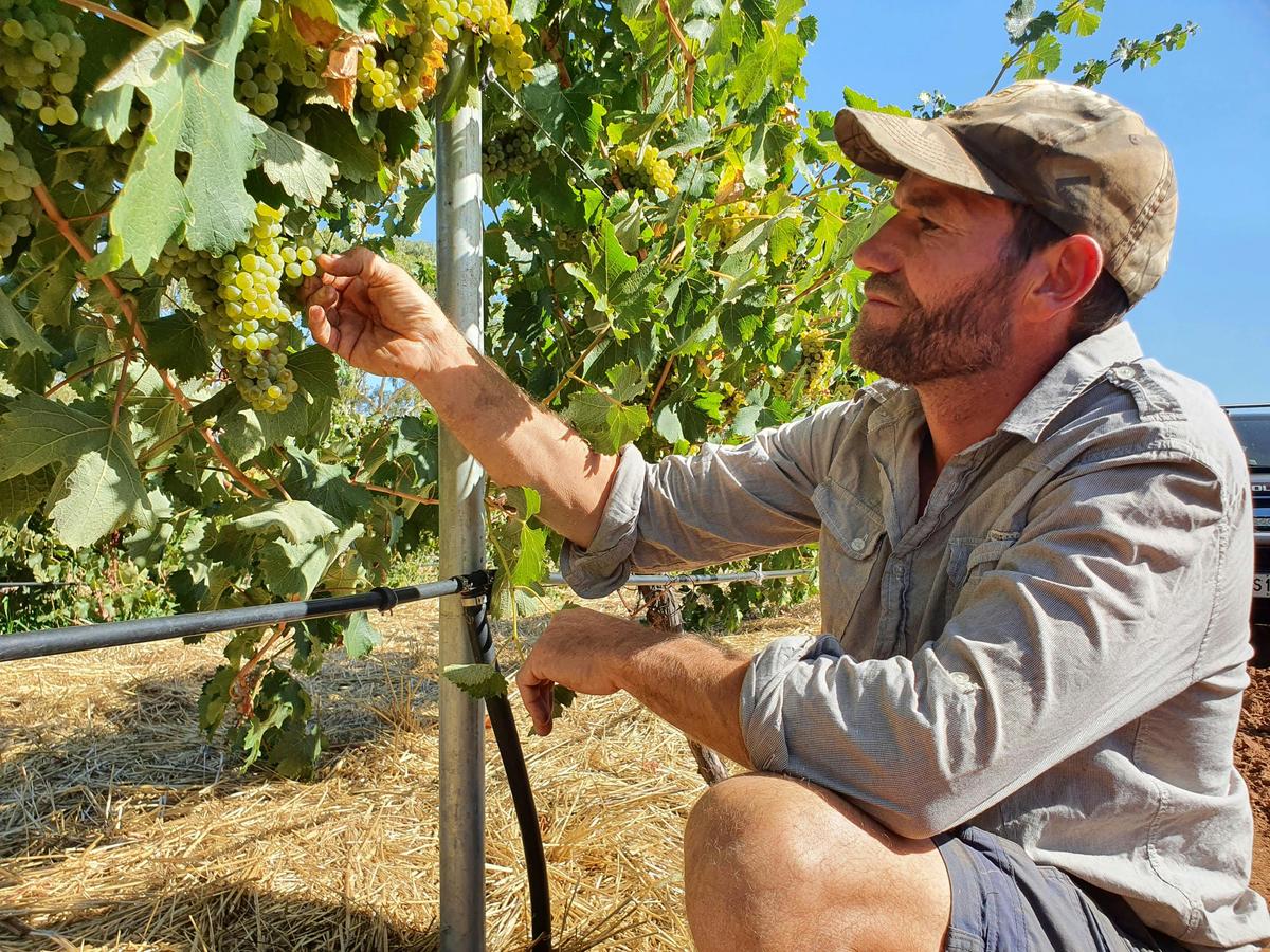 Kalleske Ultimate Old Vine Experience