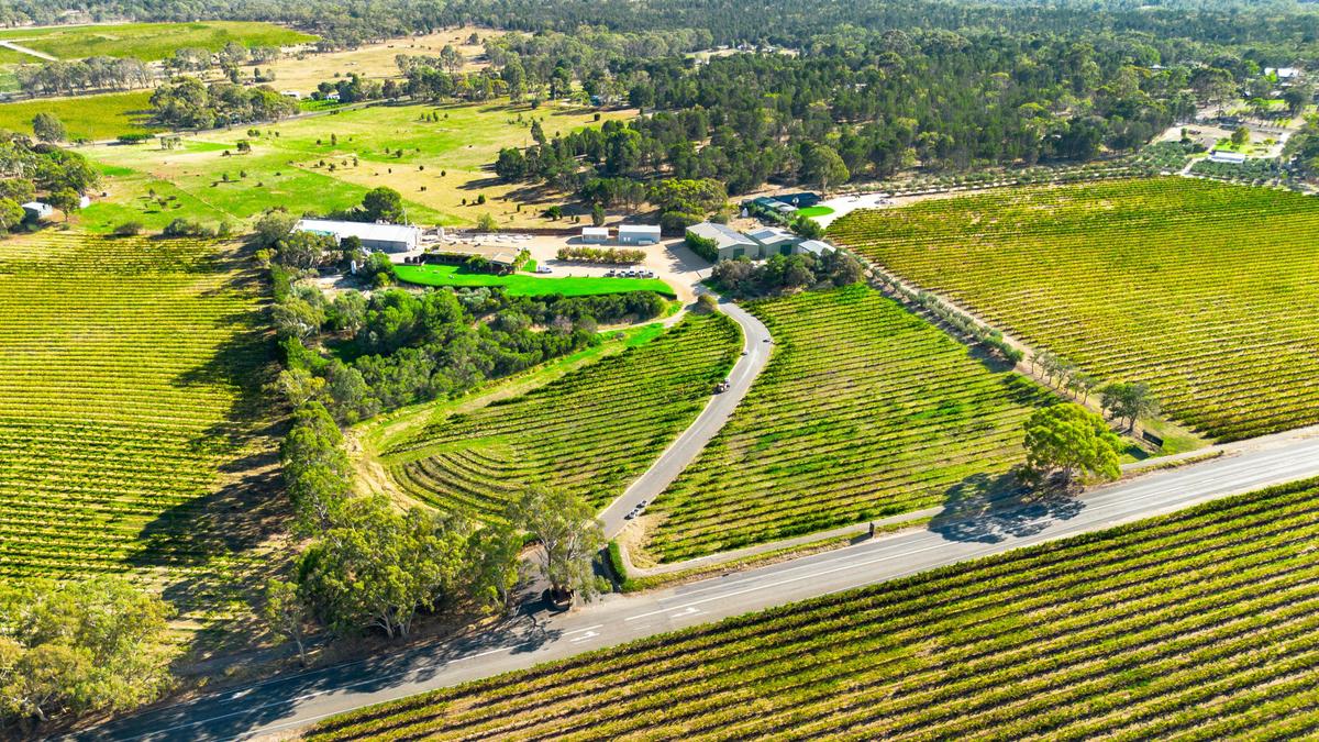 birds eye view winery