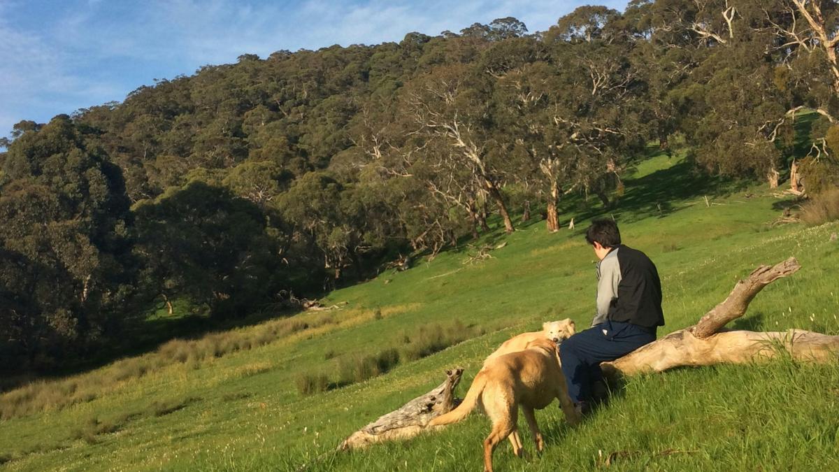Kookaburra Cottage Farm