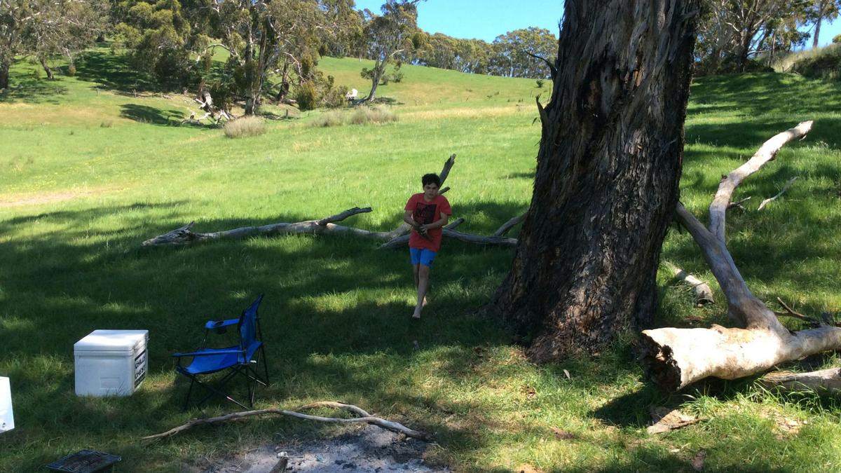 Kookaburra Cottage Farm