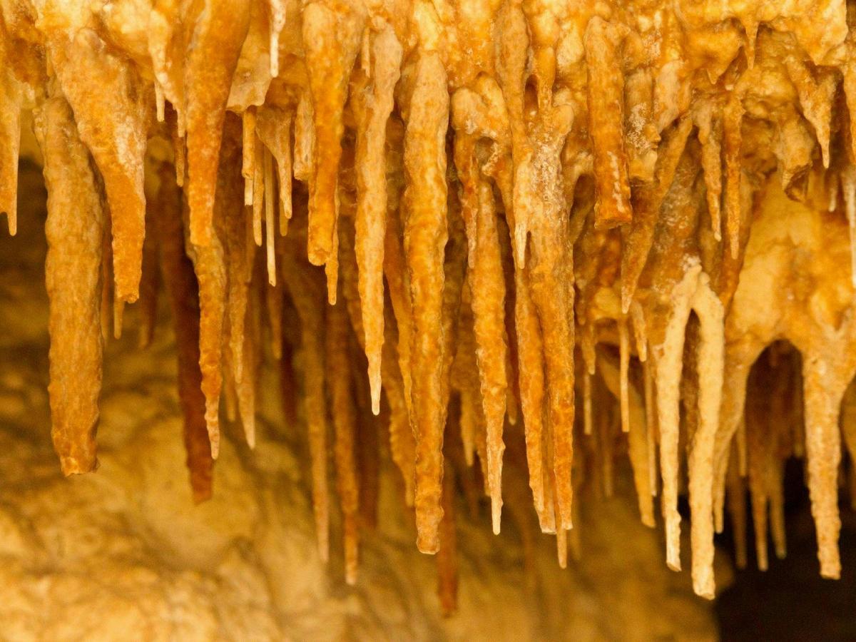 Inside the Caves