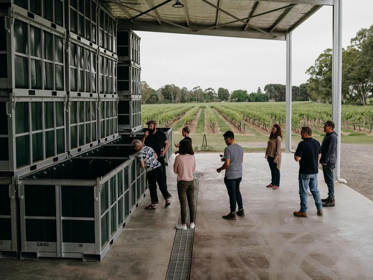 Barossa Valley Winery Tour