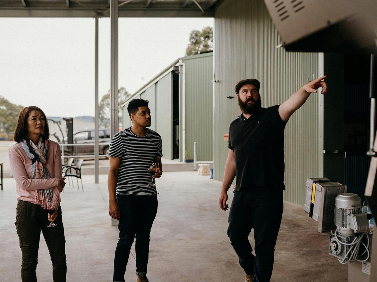A Morning with the Winemaker: Barossa Valley Winery and Barrel Hall Tour