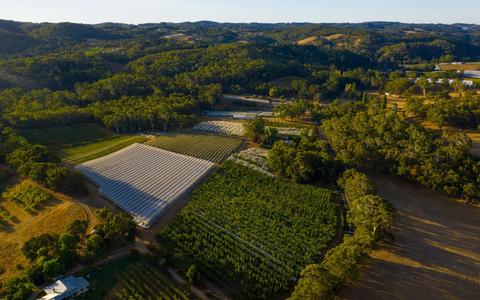 Lenswood Cider Co.