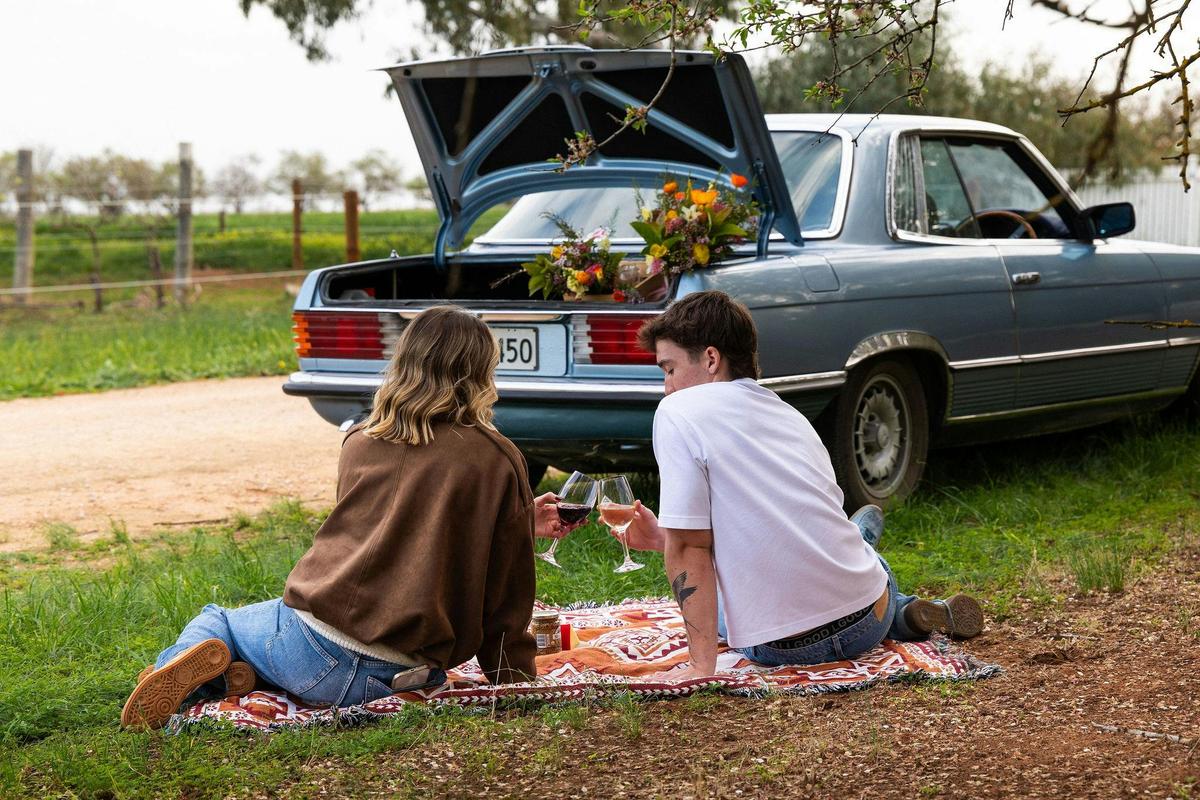 Picnic next to Langhorne Creek vineyard