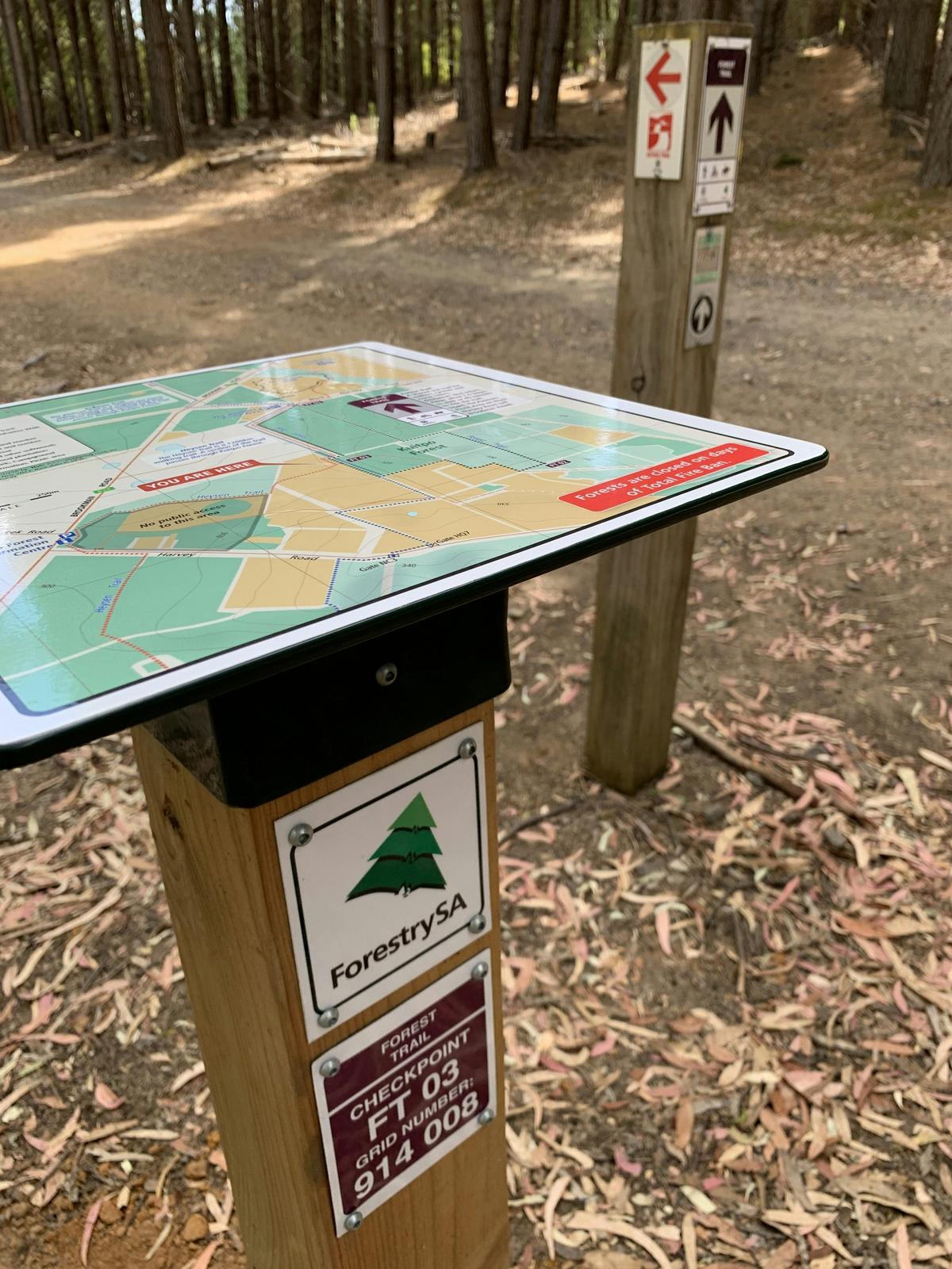 Forest Trail Map Plate