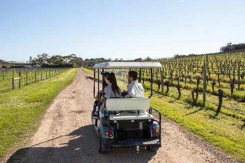 Winery Heritage Tour and Premium Wines Tasting
