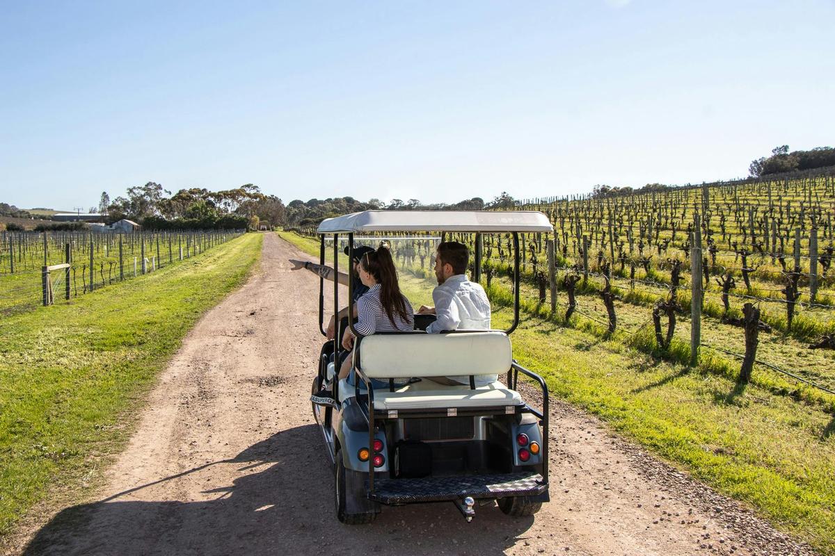 Winery Heritage Tour and Premium Wines Tasting