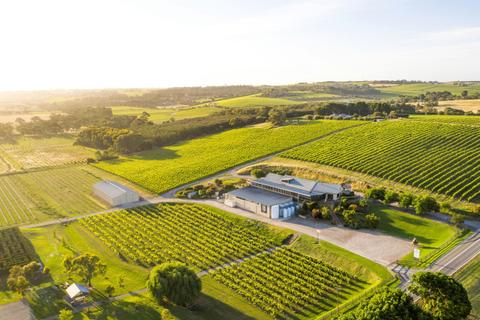 Curated Luxury Experiences at Maxwell Wines in McLaren Vale