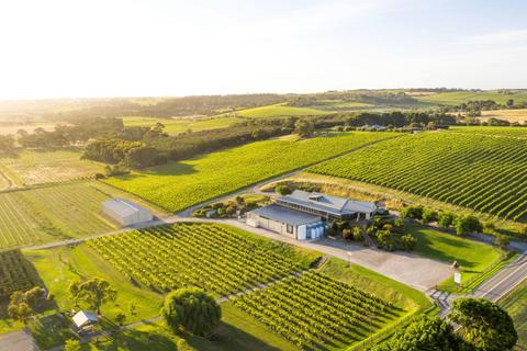 Maxwell Mead Tasting Experience