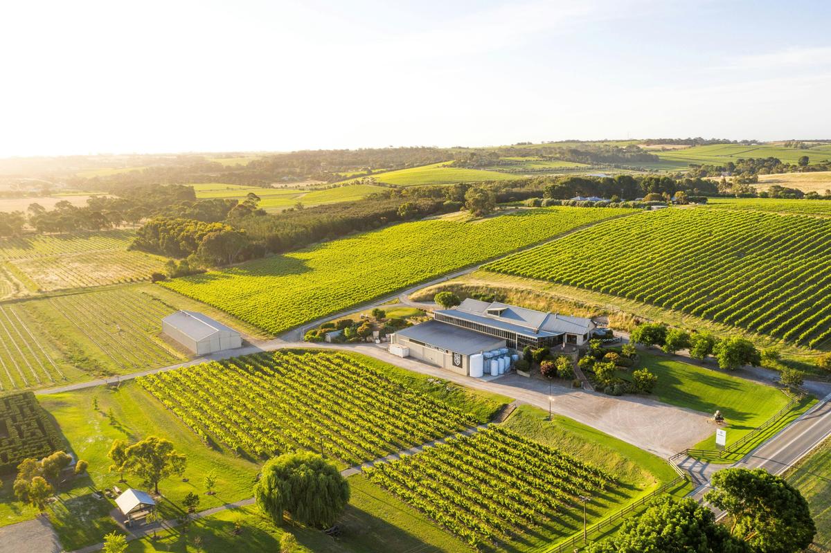 Maxwell Mead Tasting Experience