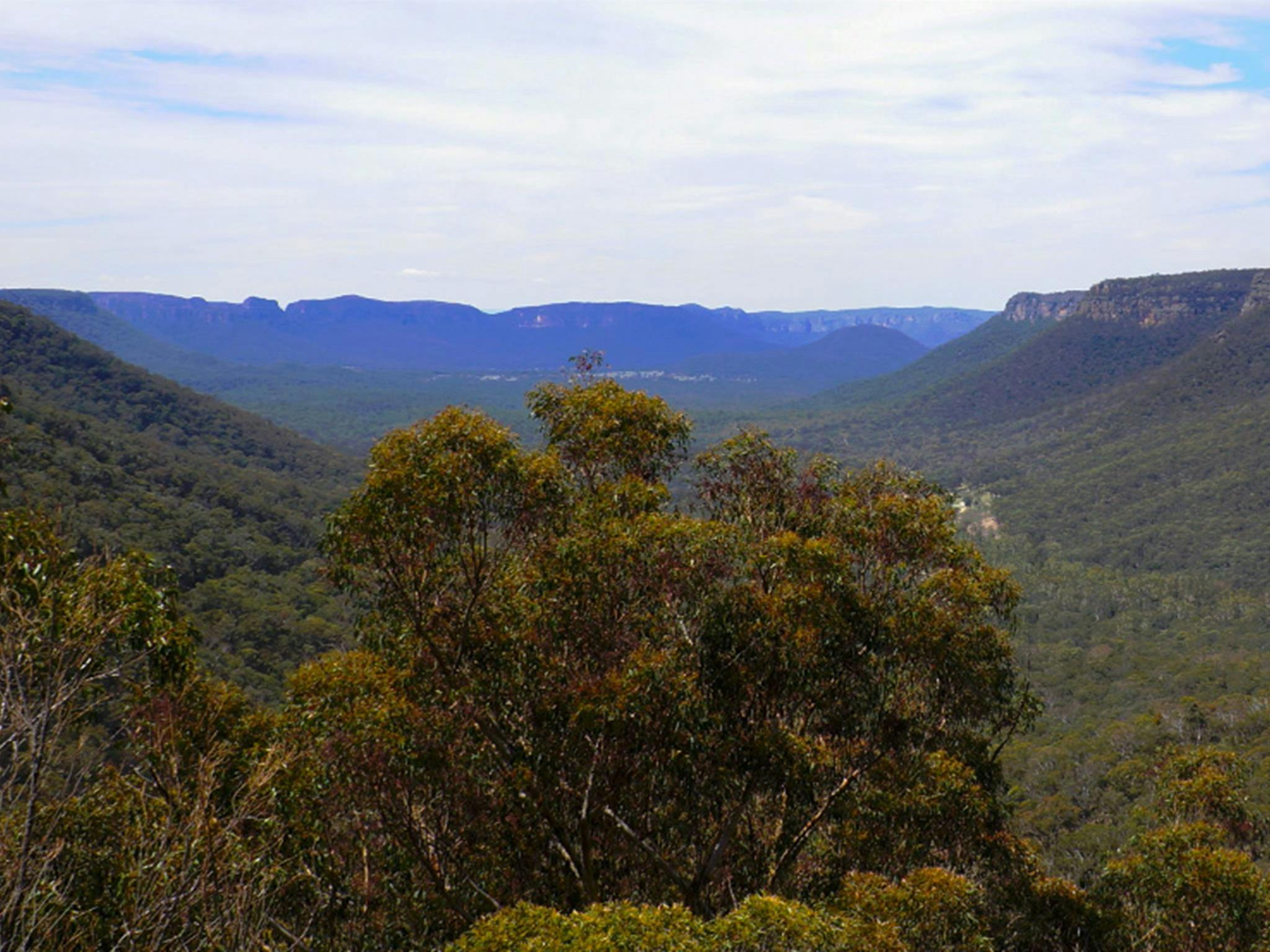 View of forest-clad valleys and rocky cliff bands near Twister and Rocky Creek canyons. Photo
