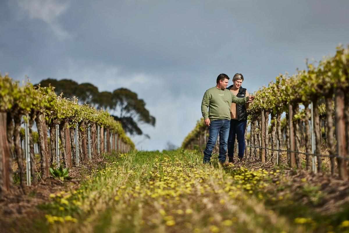 Nick & Carol Riebke inspecting vines on their wine estate at Ebenezer, Barossa Valley
