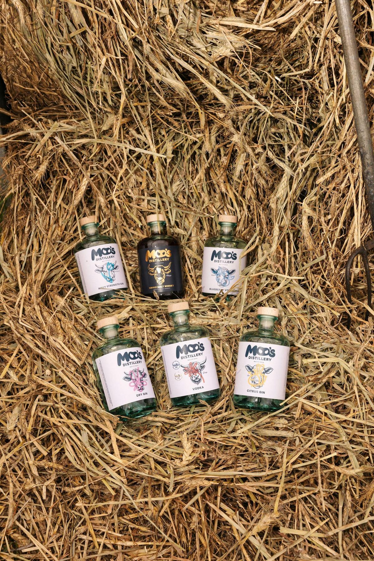 Our spirits