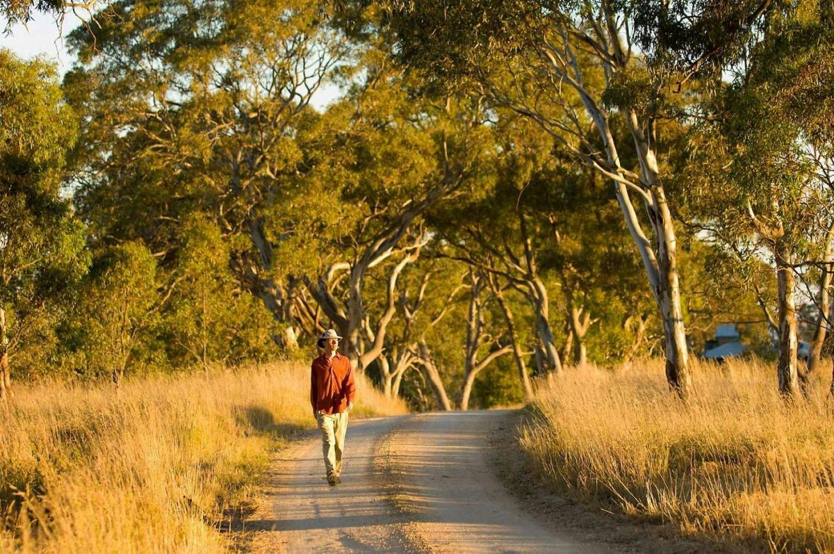 Walking near Tara Hill meditation Retreat -Adelaide Hills