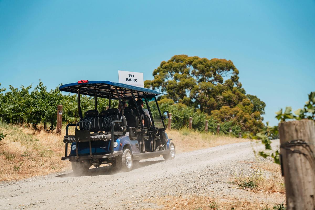 Lambert Estate Electric Cart Vineyard Tour