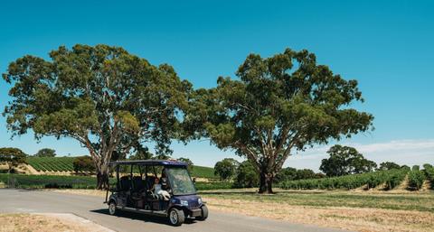 Lambert Estate Electric Cart Vineyard Tour