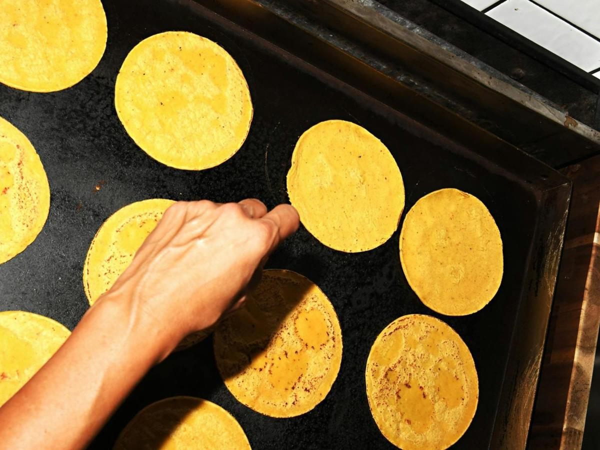 Handmade Australian corn maize tortillas