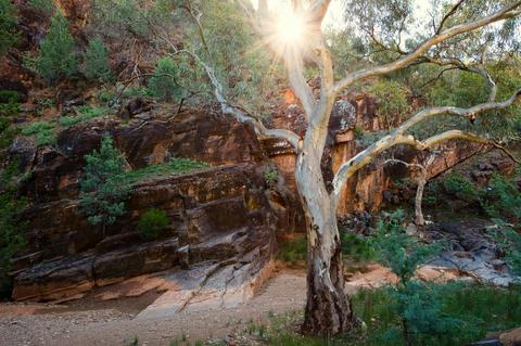 Living in the Rangelands Trail