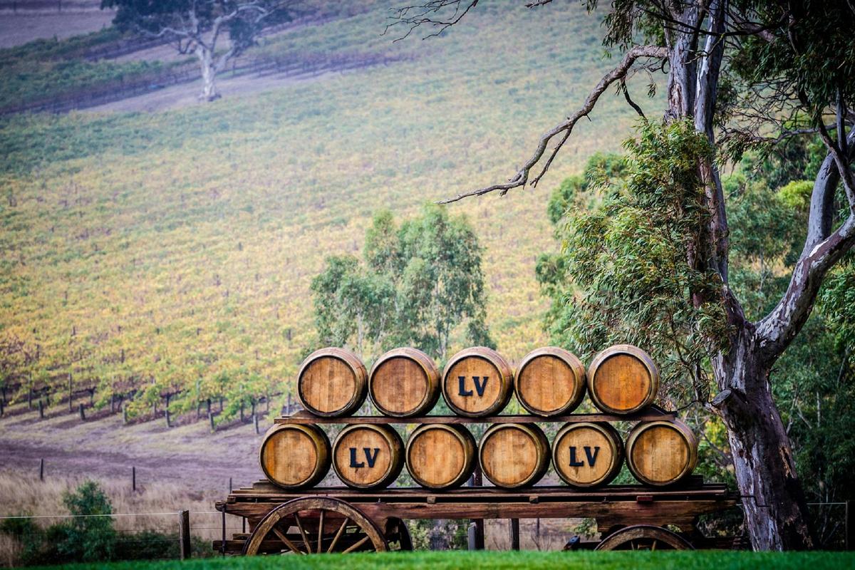 Longview Vineyard