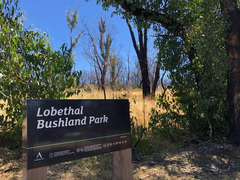 Lobethal Bushland Park