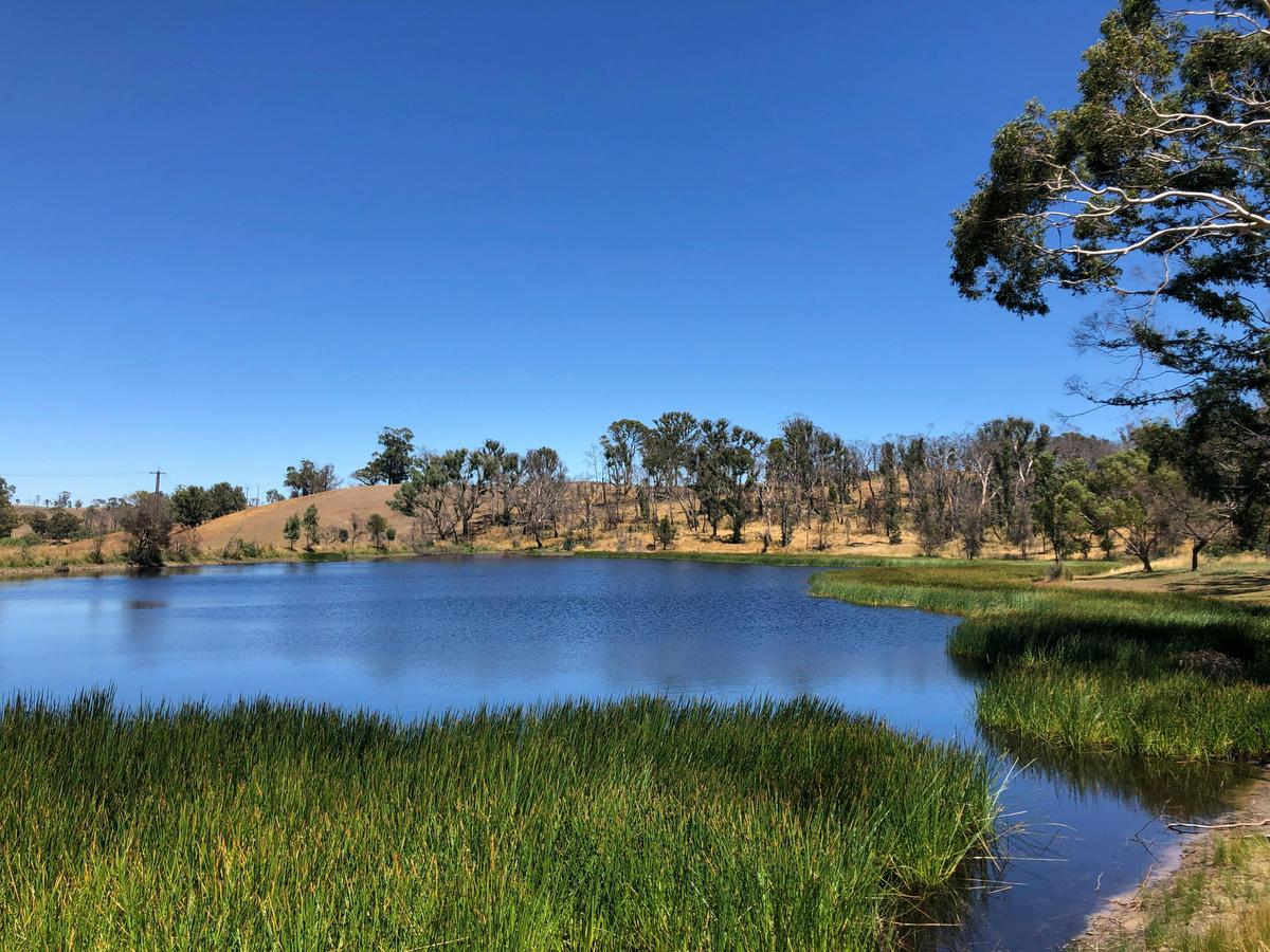 Lobethal Bushland Park