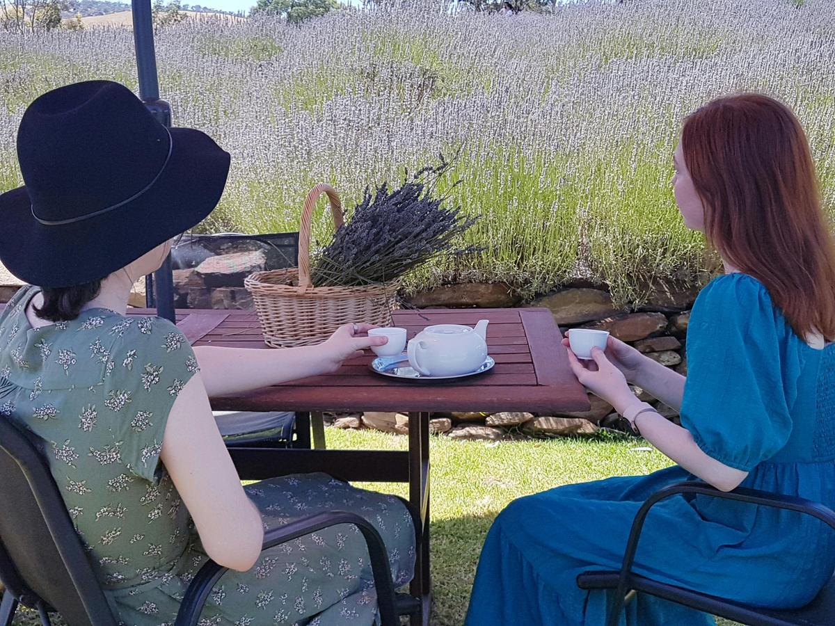 Self-Guided Tour with Local Platters to Share