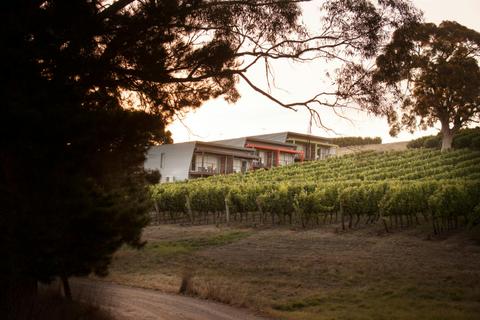 Vineyard Suite