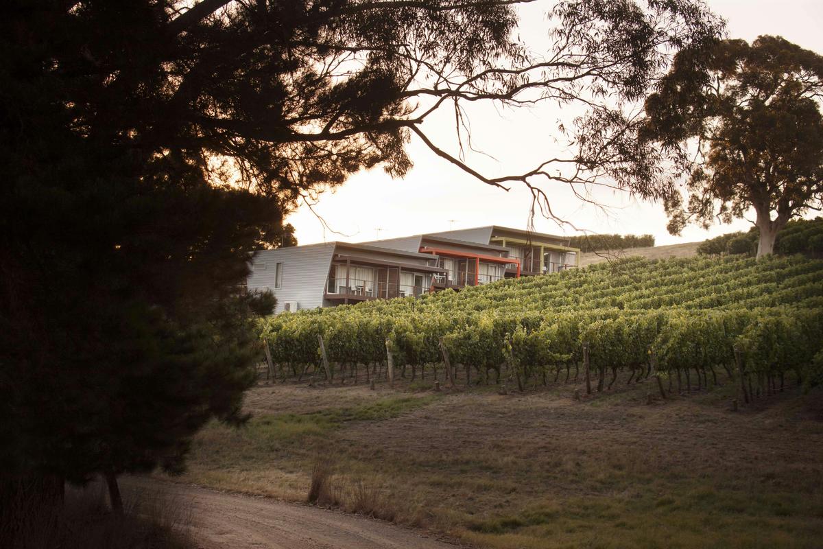 Vineyard Suites Panoramic
