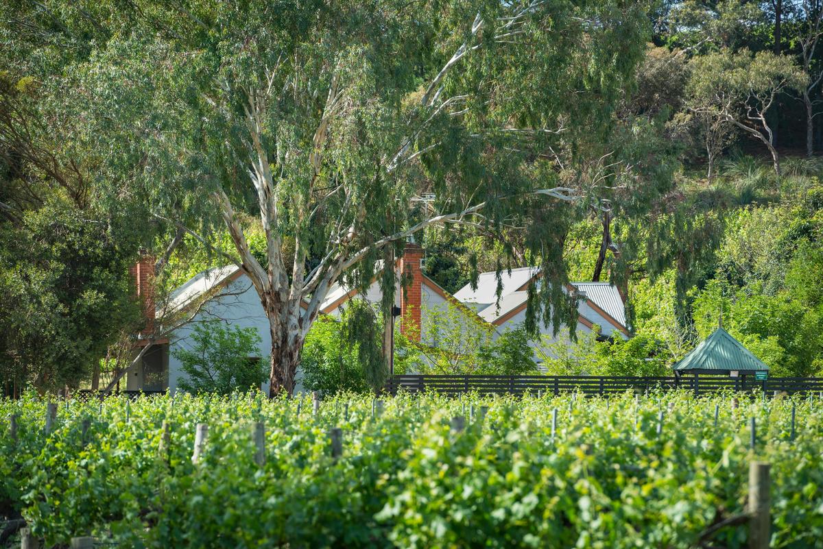 McLaren Vale Getaways - Clements House