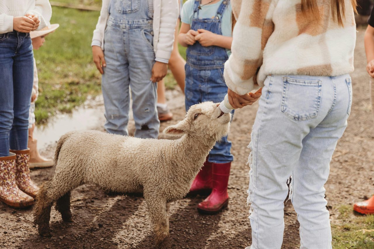 The Giving Farm