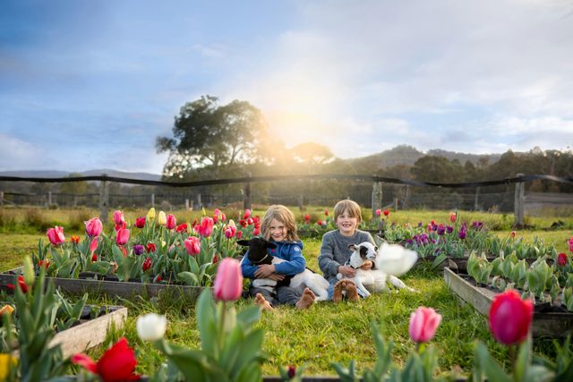 The Giving Farm