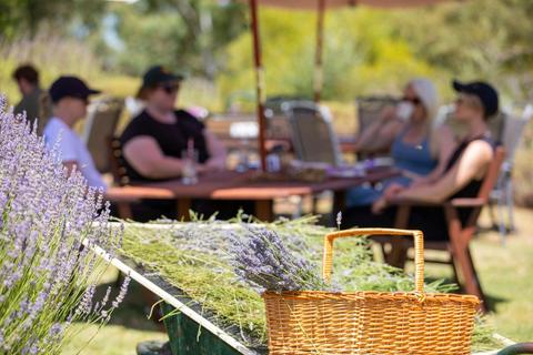 Lyndoch Lavender Farm Cafe