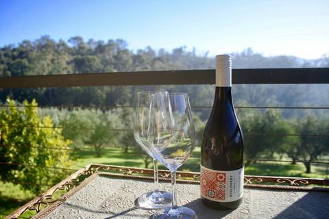 Millbrook Valley Farm - Barossa and Hills Hideaway
