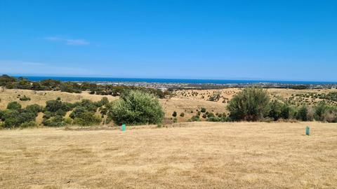 McLaren Vale National Park View