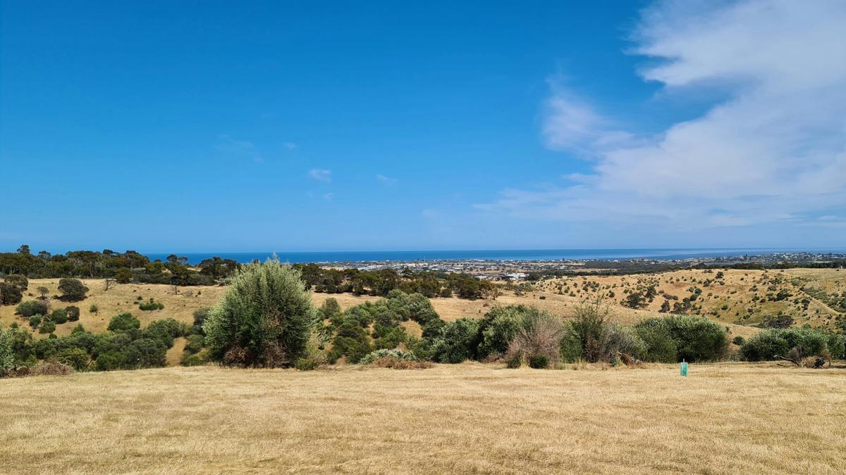 McLaren Vale National Park View