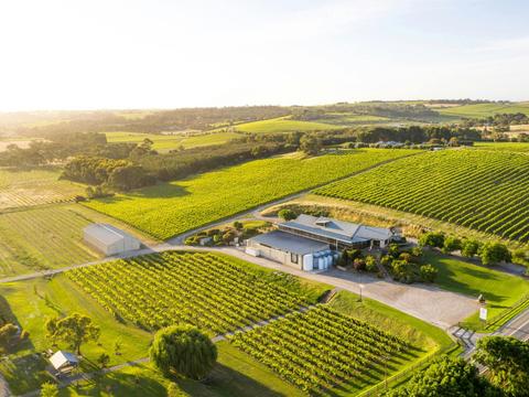 Maxwell Wines