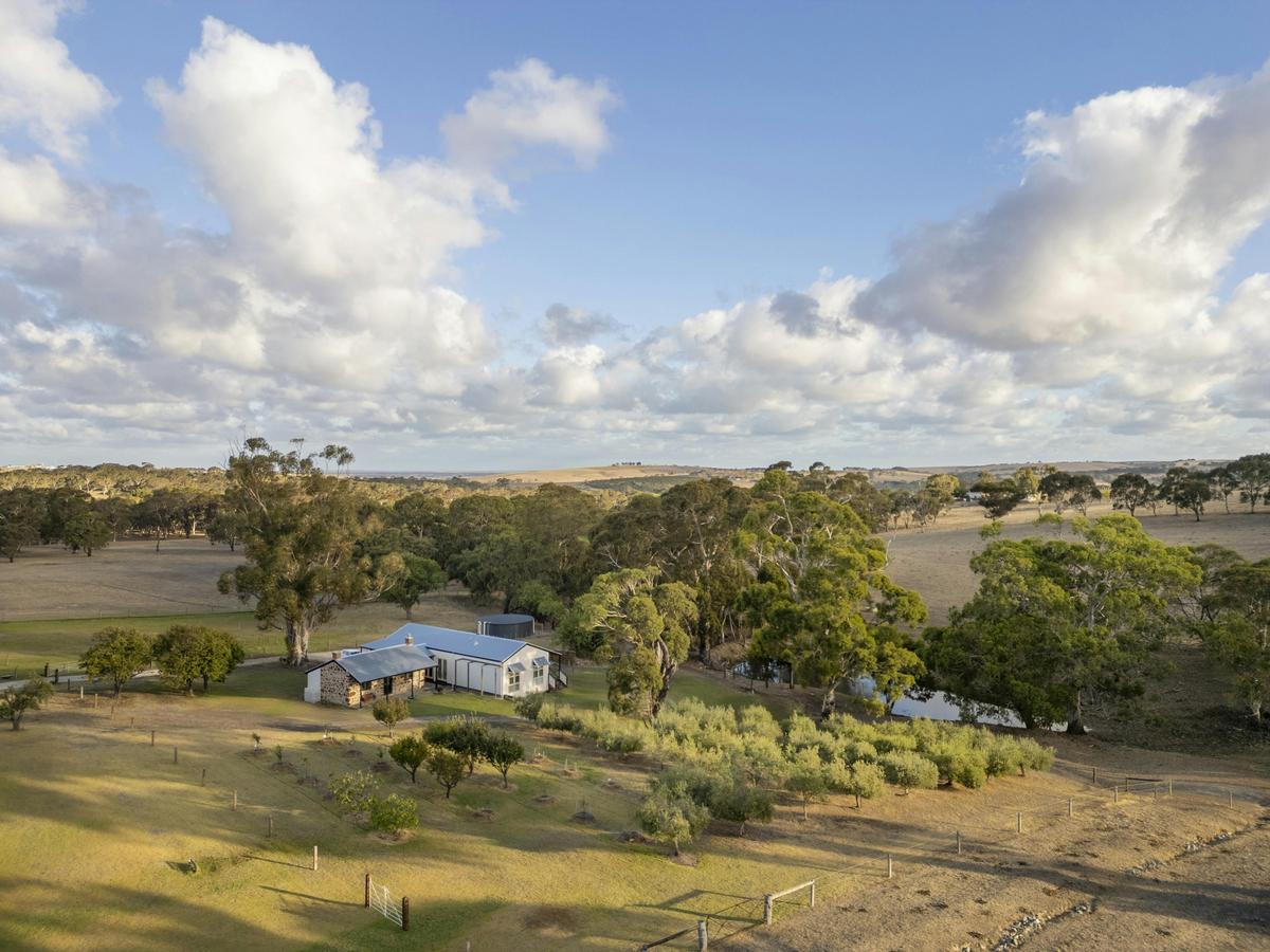 Aerial Shot