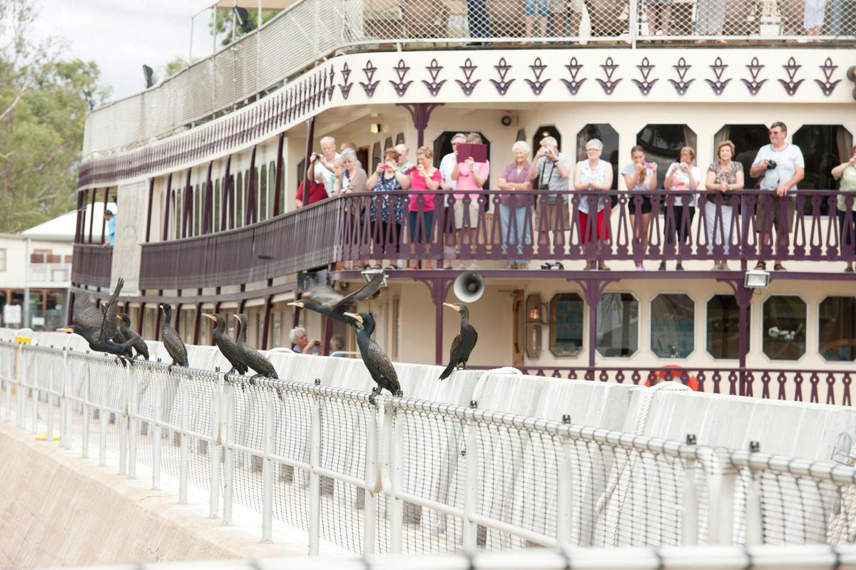 4 Night Outback Heritage Cruise