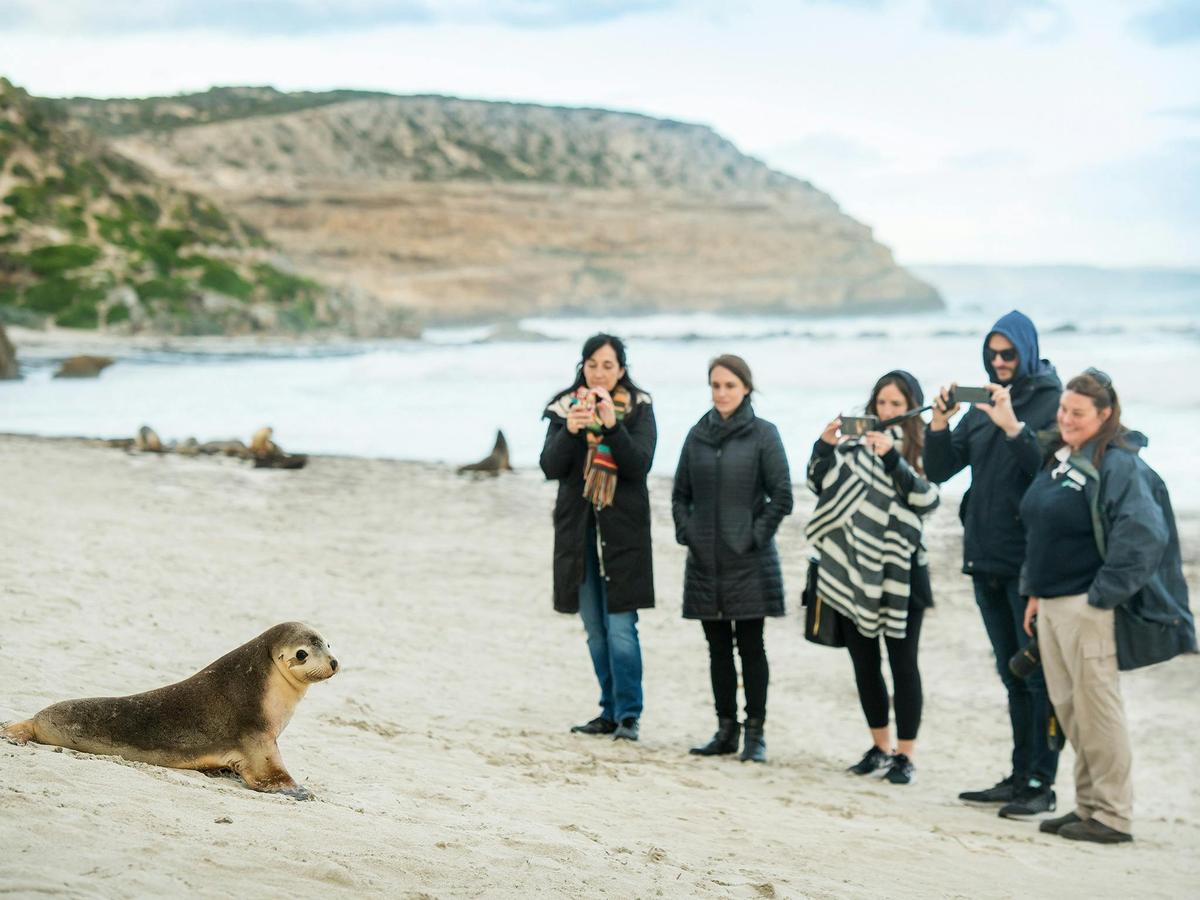 7 Night Adelaide, Kangaroo Island and Murray River