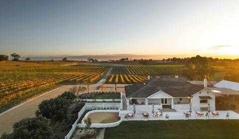 Mirus Vineyards and Wonderground Gallery