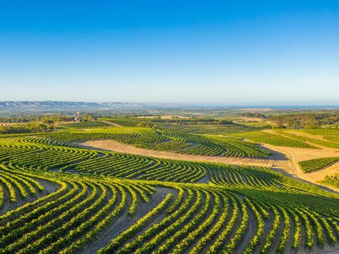 McLaren Vale Wine Region