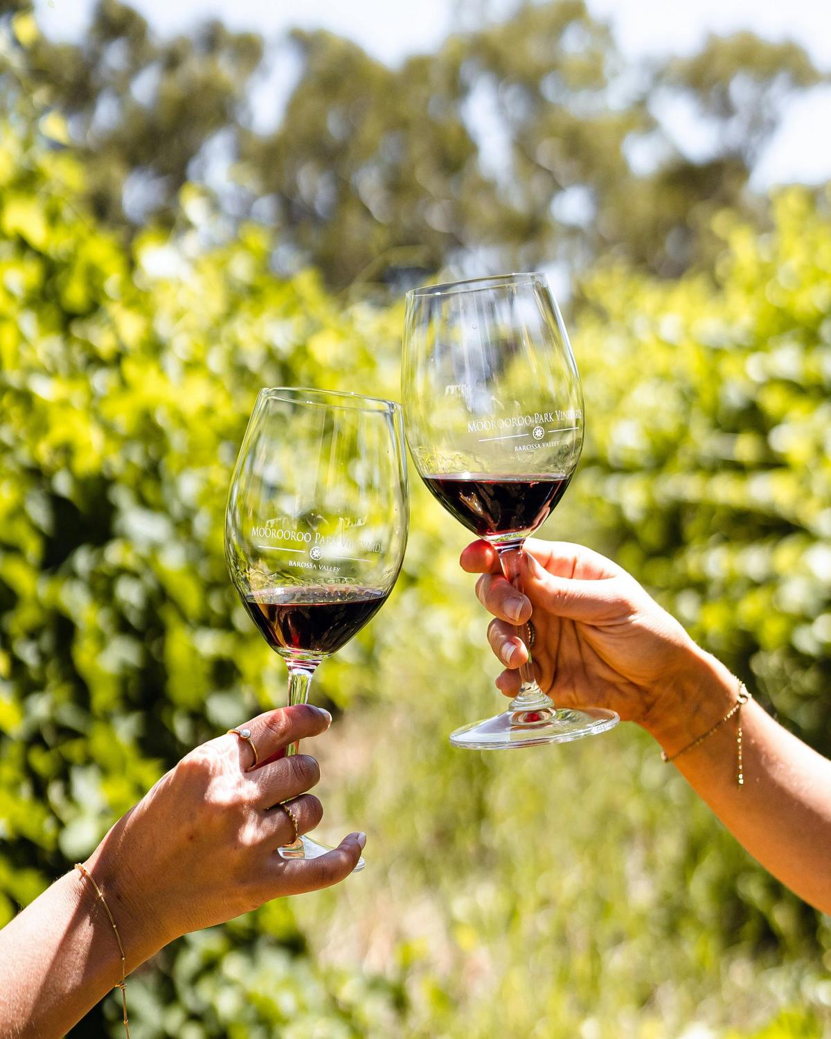 Enjoy true Barossa reds amongst the vines