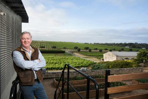 Maxwell Wines Maze