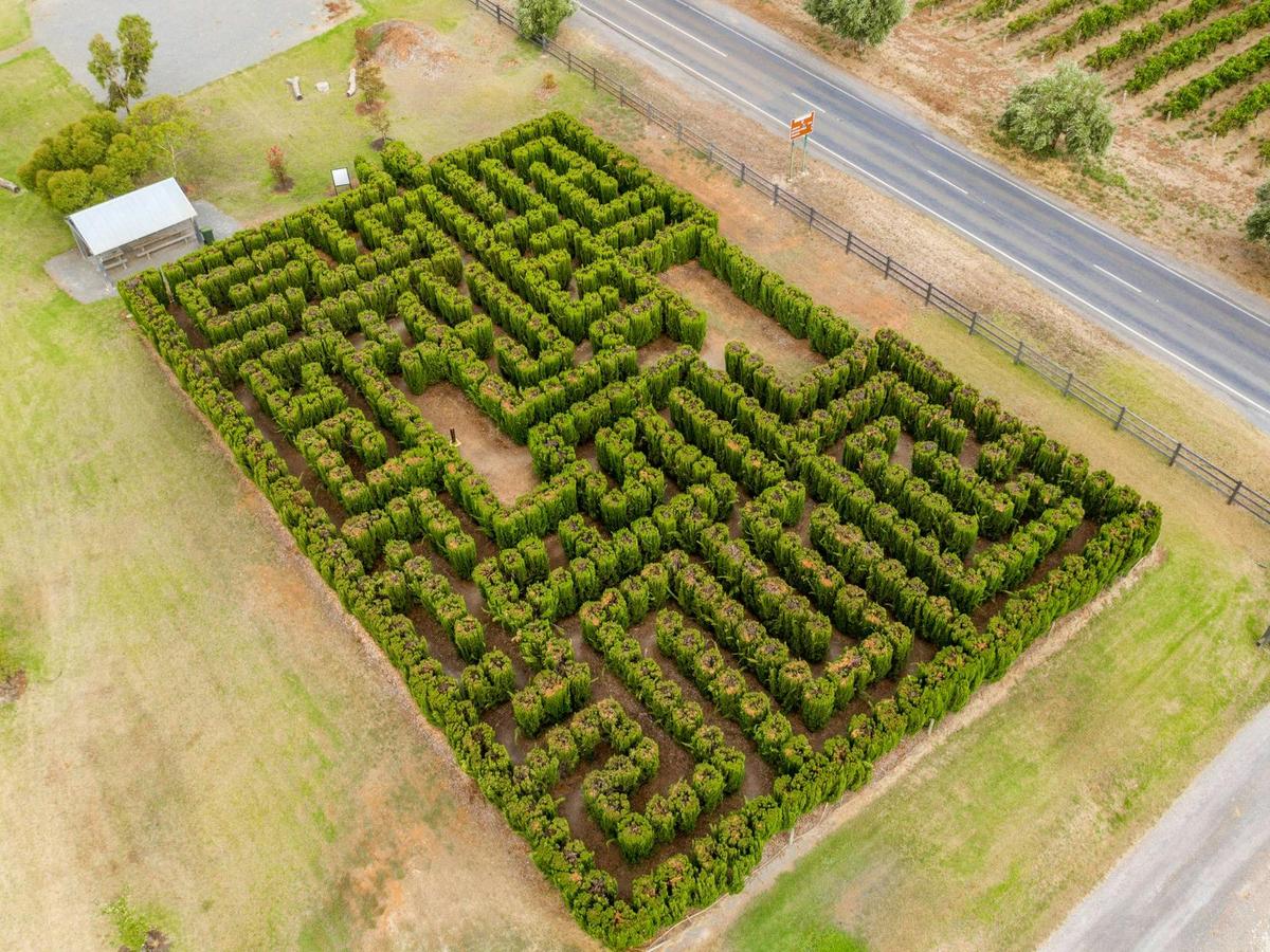 Maxwell Maze