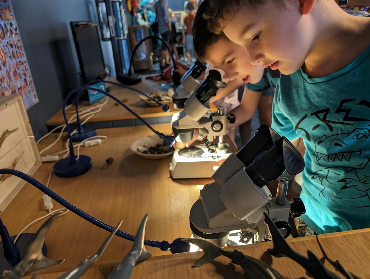 Marine Discovery Centre