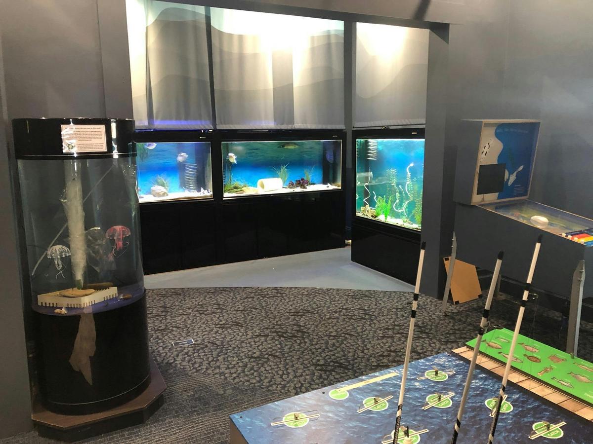 Aquaria
